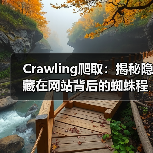 Crawling爬取：揭秘隐藏在网站背后的蜘蛛程序（图3）