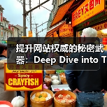 提升网站权威的秘密武器：Deep Dive into Topical Authority（图2）