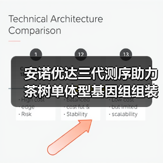 安诺优达三代测序助力茶树单体型基因组组装及演化史解析(图3) 安诺优达三代测序助力茶树单体型基因组组装及演化史解析(图3)