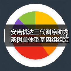 安诺优达三代测序助力茶树单体型基因组组装及演化史解析(图4) 安诺优达三代测序助力茶树单体型基因组组装及演化史解析(图4)
