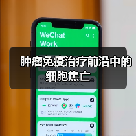 肿瘤免疫治疗前沿中的细胞焦亡(图2) 肿瘤免疫治疗前沿中的细胞焦亡(图2)
