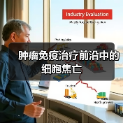 肿瘤免疫治疗前沿中的细胞焦亡(图3) 肿瘤免疫治疗前沿中的细胞焦亡(图3)