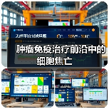 肿瘤免疫治疗前沿中的细胞焦亡(图1) 肿瘤免疫治疗前沿中的细胞焦亡(图1)