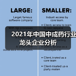 2021年中国中成药行业龙头企业分析(图4) 2021年中国中成药行业龙头企业分析(图4)