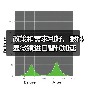 政策和需求利好,眼科显微镜进口替代加速(图4) 政策和需求利好,眼科显微镜进口替代加速(图4)
