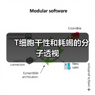 T细胞干性和耗竭的分子透视（图3）