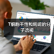 T细胞干性和耗竭的分子透视（图1）