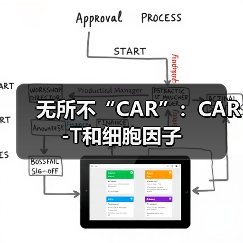 无所不“CAR”：CAR-T和细胞因子（图4）