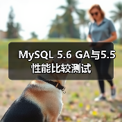 MySQL 5.6 GA与5.5性能比较测试(图1) MySQL 5.6 GA与5.5性能比较测试(图1)