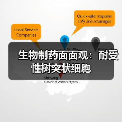 生物制药面面观：耐受性树突状细胞（图2）