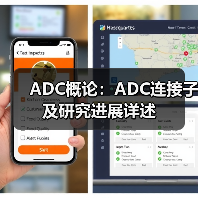 ADC概论:ADC连接子及研究进展详述(图2) ADC概论:ADC连接子及研究进展详述(图2)