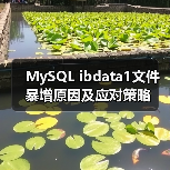 MySQL ibdata1文件暴增原因及应对策略（图1）