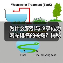 为什么索引与收录成为网站排名的关键？揭秘页面被抓取背后的秘密！（图1）