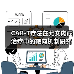 CAR-T疗法在尤文肉瘤治疗中的靶向机制研究（图4）