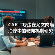CAR-T疗法在尤文肉瘤治疗中的靶向机制研究（图1）