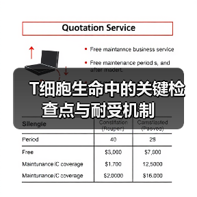 T细胞生命中的关键检查点与耐受机制（图2）