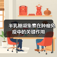 半乳糖凝集素在肿瘤免疫中的关键作用（图4）