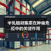 半乳糖凝集素在肿瘤免疫中的关键作用（图3）