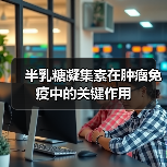 半乳糖凝集素在肿瘤免疫中的关键作用（图1）