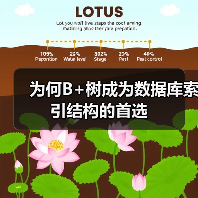 为何B+树成为数据库索引结构的首选（图2）