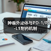 肿瘤外泌体与PD-1/PD-L1耐药机制（图4）