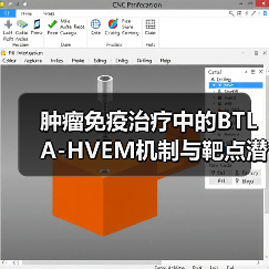 肿瘤免疫治疗中的BTLA-HVEM机制与靶点潜力（图2）