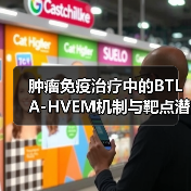 肿瘤免疫治疗中的BTLA-HVEM机制与靶点潜力（图4）