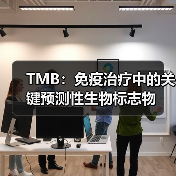 TMB：免疫治疗中的关键预测性生物标志物（图2）