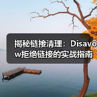 揭秘链接清理：Disavow拒绝链接的实战指南，助你逃脱惩罚恢复困境！（图1）