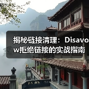 揭秘链接清理：Disavow拒绝链接的实战指南，助你逃脱惩罚恢复困境！（图4）