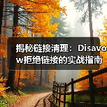 揭秘链接清理：Disavow拒绝链接的实战指南，助你逃脱惩罚恢复困境！（图2）