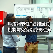 肿瘤调节性T细胞浸润机制与免疫治疗靶点分析（图4）
