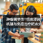 肿瘤调节性T细胞浸润机制与免疫治疗靶点分析（图1）