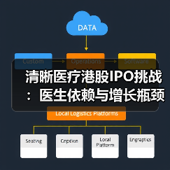 清晰医疗港股IPO挑战：医生依赖与增长瓶颈（图4）