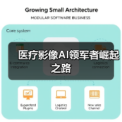 医疗影像AI领军者崛起之路（图1）