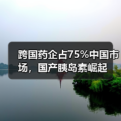 跨国药企占75%中国市场，国产胰岛素崛起（图3）