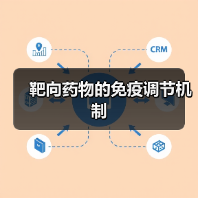靶向药物的免疫调节机制（图2）