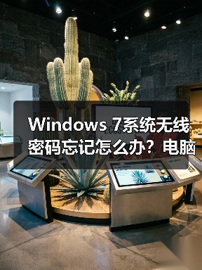 Windows 7系统无线密码忘记怎么办？电脑保存密码快速查看方法（图4）