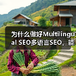 为什么做好Multilingual SEO多语言SEO，能让你的全球市场实现质的飞跃？这不仅仅是简单的翻译内容，更是一场地域定位与文化适配的深度融合。掌握正确策（图2）