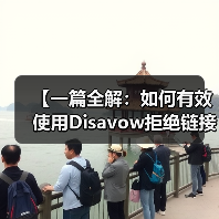 【一篇全解：如何有效使用Disavow拒绝链接工具清理垃圾外链恢复SEO排名】（图3）