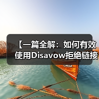 【一篇全解：如何有效使用Disavow拒绝链接工具清理垃圾外链恢复SEO排名】（图4）