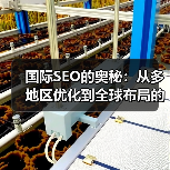 国际SEO的奥秘：从多地区优化到全球布局的全景解码（图2）