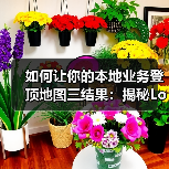 如何让你的本地业务登顶地图三结果：揭秘Local Pack的秘密战略（图4）