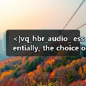 <|vq_hbr_audio_ essentially, the choice of resource would be determined by the s（图3）