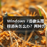Windows 7摄像头图标消失怎么办？两种方法帮你找回（图4）