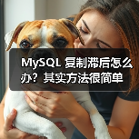 MySQL 复制滞后怎么办？其实方法很简单（图2）