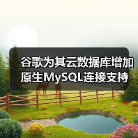 谷歌为其云数据库增加原生MySQL连接支持（图4）