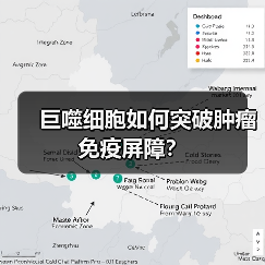巨噬细胞如何突破肿瘤免疫屏障？（图4）