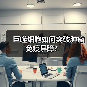 巨噬细胞如何突破肿瘤免疫屏障？（图2）