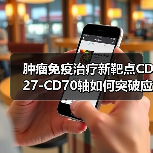 肿瘤免疫治疗新靶点CD27-CD70轴如何突破应答瓶颈？（图4）